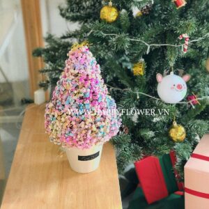 CHẬU BABY RAINBOW XMAS TREE – SMALL SIZE