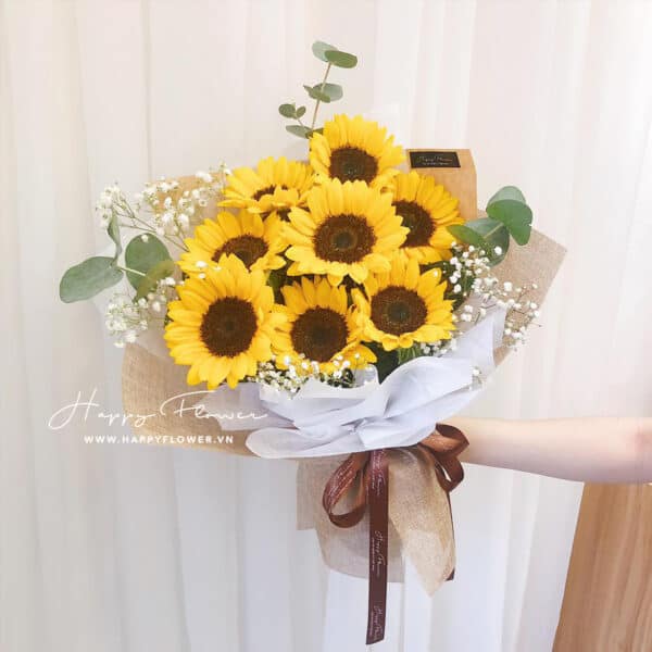 SUNFLOWER 8B