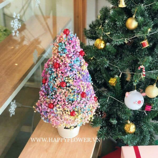 CHẬU BABY RAINBOW XMAS TREE – BIG SIZE