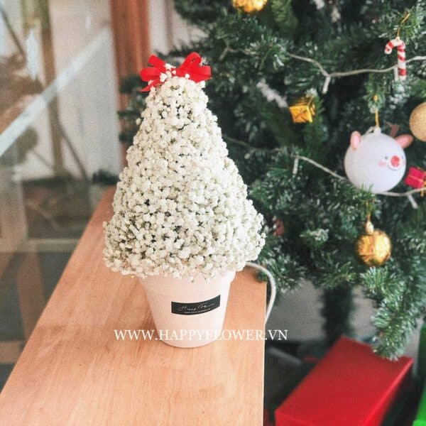 CHẬU BABY WHITE XMAS TREE