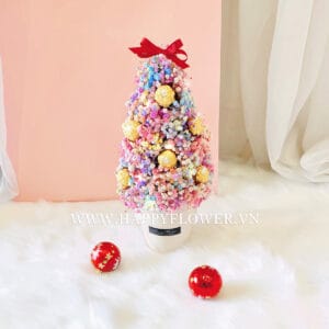 CHẬU BABY RAINBOW XMAS TREE MIX FERRERO – SMALL SIZE