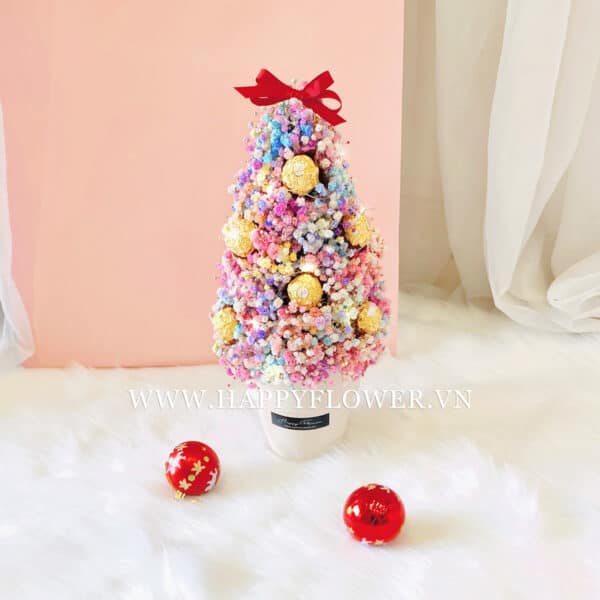 CHẬU BABY RAINBOW XMAS TREE MIX FERRERO – SMALL SIZE