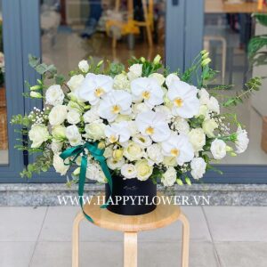 HỘP HOA FULL WHITE MIX ORCHIDS